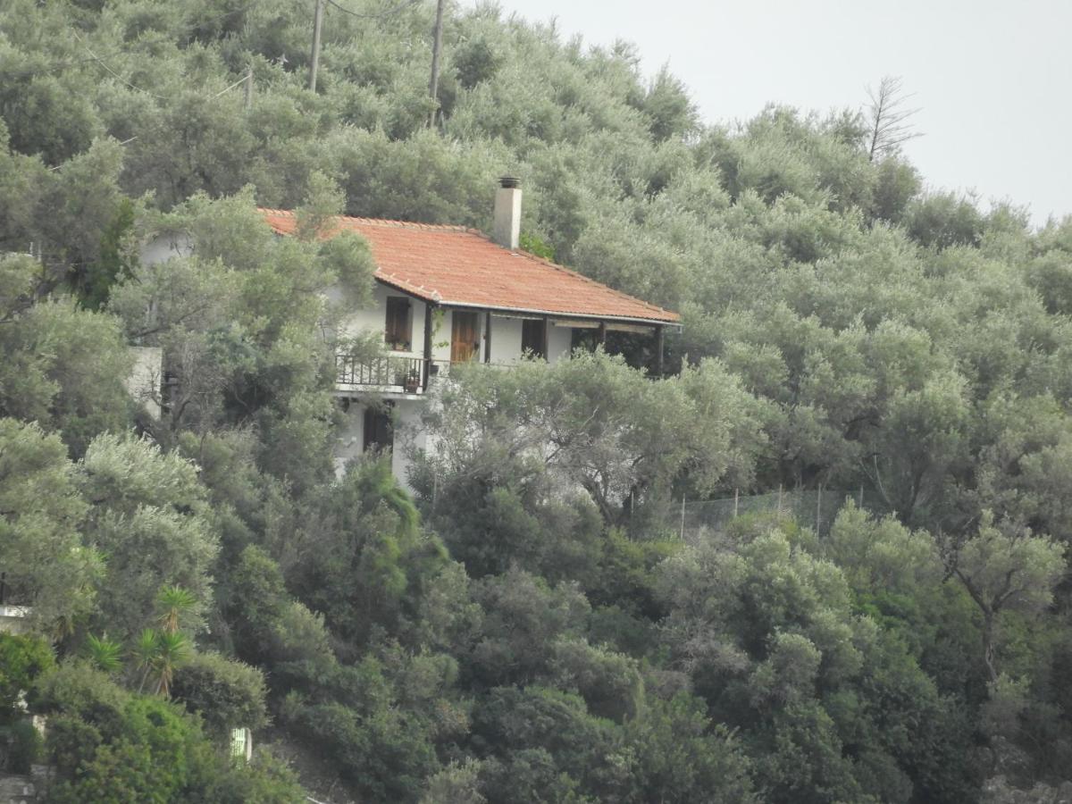 Villa Imelda Afissos Zewnętrze zdjęcie