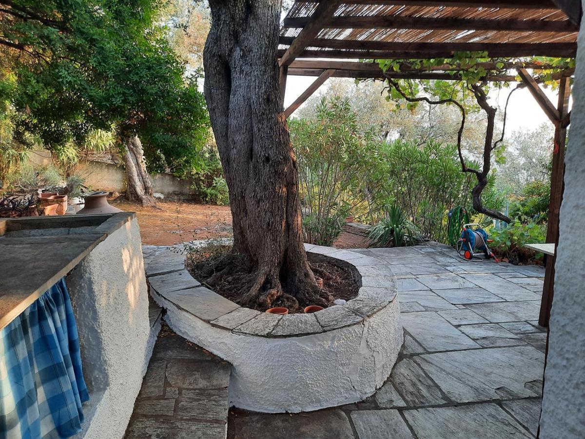 Villa Imelda Afissos Zewnętrze zdjęcie