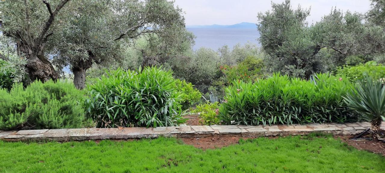 Villa Imelda Afissos Zewnętrze zdjęcie